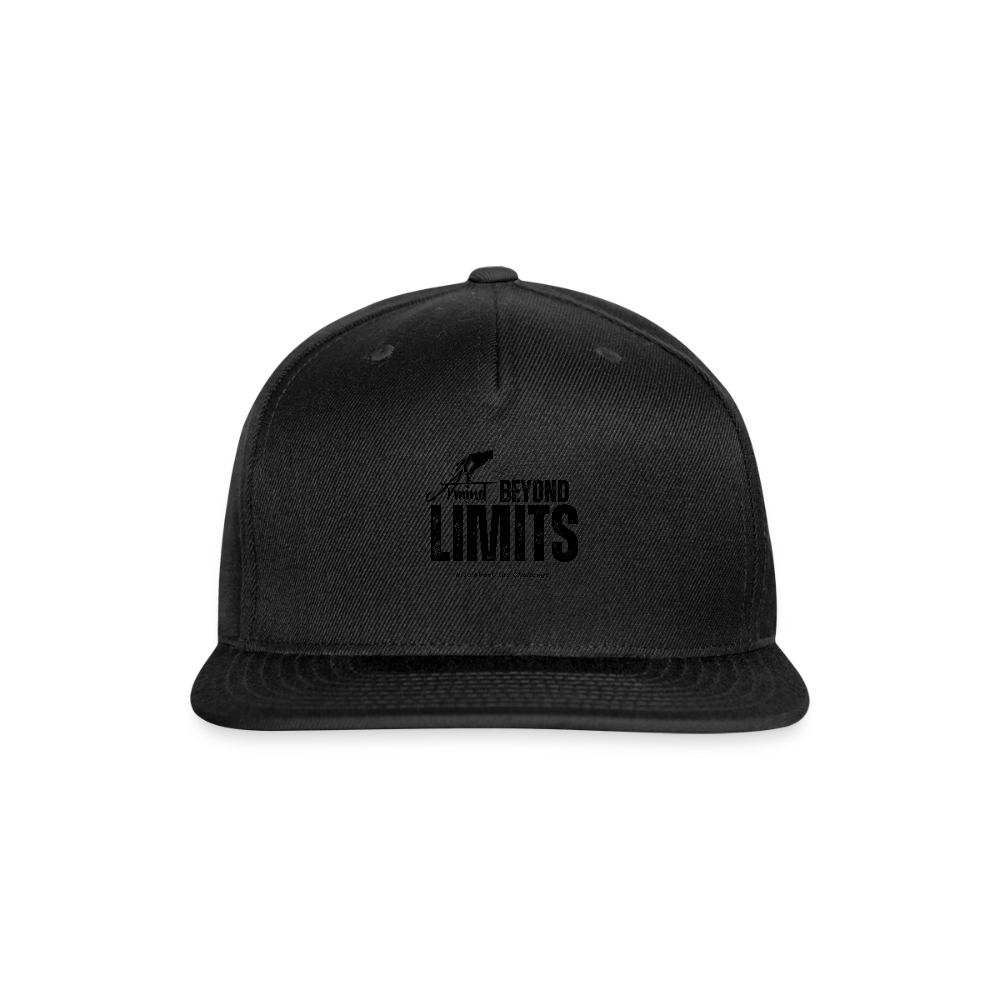 Snapback Baseball Cap - black